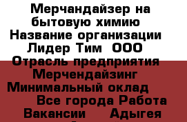 Мерчандайзер на бытовую химию › Название организации ­ Лидер Тим, ООО › Отрасль предприятия ­ Мерчендайзинг › Минимальный оклад ­ 25 000 - Все города Работа » Вакансии   . Адыгея респ.,Адыгейск г.